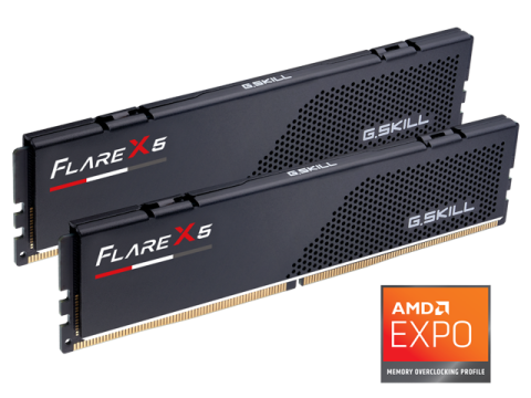 G.SKILL Flare X5 32GB (2 x 16GB) 288-Pin PC RAM DDR5 6000 (PC5 48000) Desktop Memory Model F5-6000J3038F16GX2-FX5