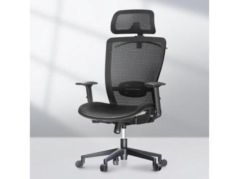 FLEXISPOT Ergonomic Office Chair High Back Mesh Swivel Computer Chair Home Office Desk Chairs with Wheels Lumbar Support Deep Black