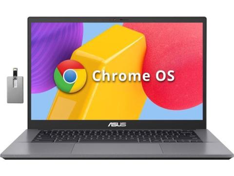 ASUS Chromebook Plus CX34 14" FHD Laptop, 12th Gen Intel Core i3-1215U, 8GB LPDDR5, 128GB SSD, Intel UHD Graphics, FHD Webcam, WiFi 6, Bluetooth 5.2, Chrome OS, Gray, 128GB Hotface USB Card