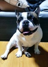 Profile picture for user AkiMoreno