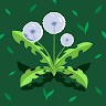 Profile picture for user farukhkhan